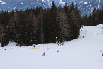 Merano 2000