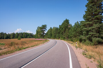 Fototapeta na wymiar Picturesque asphalt road, beautiful summer view, Leningrad region, Russia