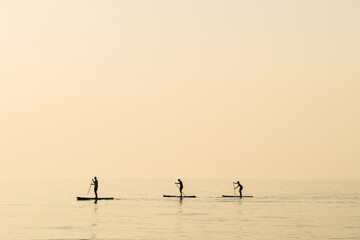 Paddleboarders in the sea at St Ives in Cornwall, UK.