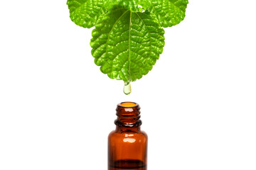 Mint Herbal, natural medicine oil drop falling down from a leaf to the bottle, with copy space