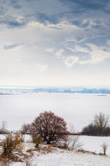 Fototapeta na wymiar Winter landscape with trees on the river bank, snow-covered field and picturesque cloudy sky, winter day