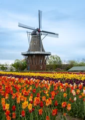 Fotobehang DeZwaan Windmill, Windmill Island Gardens, Holland, MI © Steve Lagreca