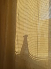 the shadow of the vase behind the yellow curtain