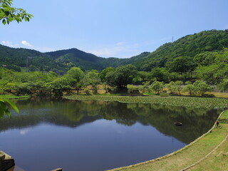 愛媛県西予市宇和運動公園の池(王子池)