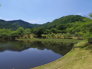 Fototapeta na wymiar 日本の池（愛媛県西予市宇和運動公園王子池）