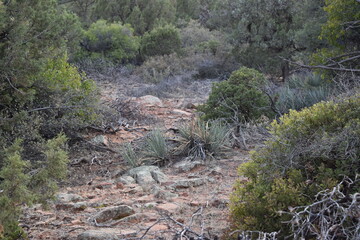 Red Rock State Park in Sedona Arizona