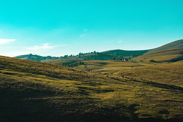 Fototapeta na wymiar Herd of sheep grazing on Zlatibor mountain slope in spring sunset