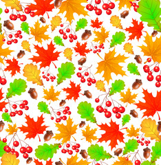 autumn pattern