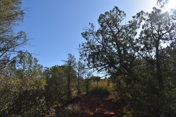 Fototapeta premium Bell Rock Trailhead in Sedona Arizona