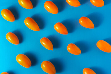 Bright orange tomatoes are laid out on a blue background. View from above.