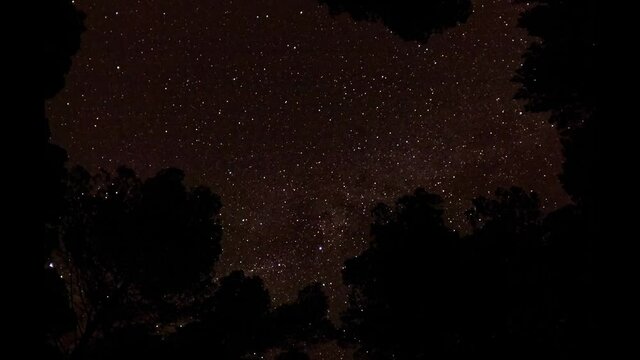 Timelapse of skydome through the threes at night with stars, planetracks and meteors, 4K.