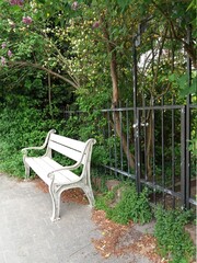 Bench in the garden.