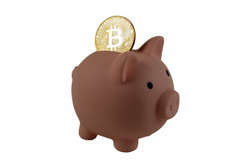 pink piggy bank pig with golden bitcoin isolated on white background, close-up