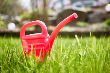 Kleine rote Gießkanne steht im Gras. Gartenarbeit im Frühling oder Sommer. Froschperspektive und Weitwinkel. 