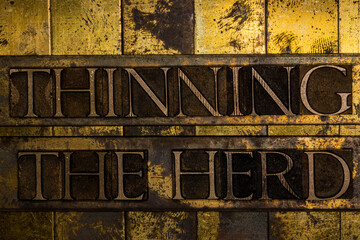 Thinning The Herd text formed with real authentic typeset letters on vintage textured silver grunge copper and gold background