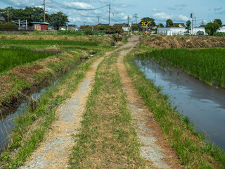Fototapeta na wymiar 日本の農村の風景
