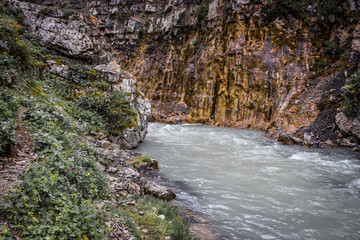 Moutain river with clear water and rapid flow. Beautiful natural scenery. Tekes river in Kazakhstan.