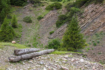 Beautiful Summer landscape: blue cloudy sky, green hills, distant mountains, coniferous trees and hiking paths
