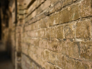Old brick wall. Angle perspective view to brick wall.  Blurred background.