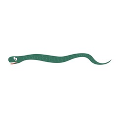 snake in 2d cartoon style. flat isolated vector