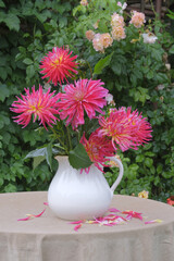 A bouquet of red-crimson dahlias in a white ceramic jug after the rain. Red and crimson dahlias, wet after the rain, against the background of a blurred rose bush.