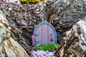 Little fairy tale door made from clay in cherry tree trunk