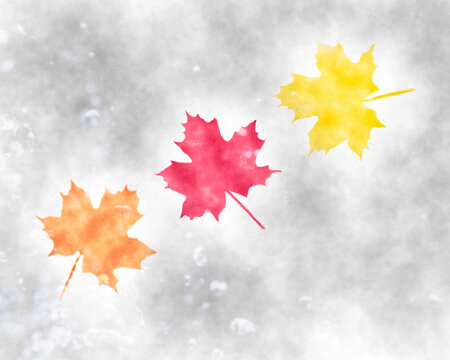autumn maple leaves on a rainy grey day abstract background 