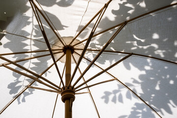 Background of natural bamboo cotton umbrella sunlight outdoor garden home architecture of design decoration