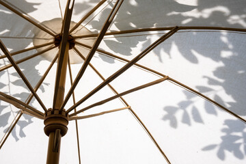 Background of natural bamboo cotton umbrella sunlight outdoor garden home architecture of design...