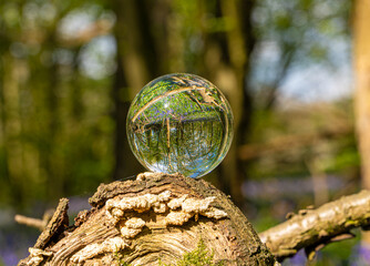 Crystal Photo Lens Magnifying Glass Spherical Ball showing an inverted upside-down image of...