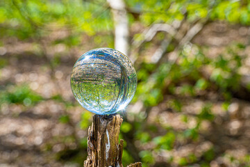 Crystal Photo Lens Magnifying Glass Spherical Ball showing an inverted upside-down image of woodland trees branches and Bluebells for macro environmental photography effect