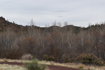 Red Rock State Park in Sedona Arizona