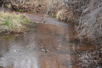 Red Rock State Park in Sedona Arizona