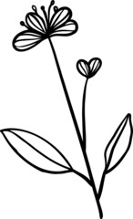 Sketch tropical flowers. Sketch tropical leaves. Hand drawn flower