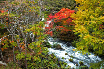 Beautiful autumnal scenery of the Akan River seen from Takimi Bridge, a tourist destination in Hokkaido, Japan