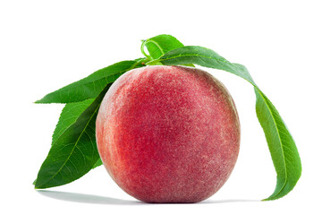 Ripe velvet peach fruit in a peel with green leaf, fresh whole harvest agricultural fruit with a green leaves isolated on a white background.