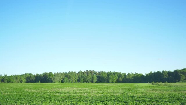 View of green field on the side of the road from car window. Beautiful nature by side view, green grass, blue sky and a lot of trees background. Going on a road trip concept