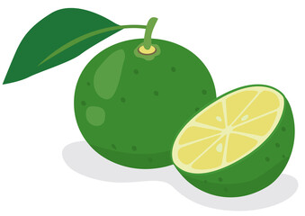 すだち／かぼす