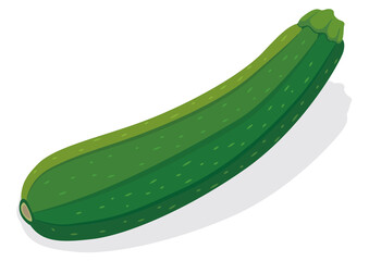 夏野菜　ズッキーニ