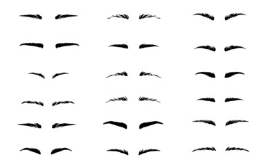 Set of eyebrows shape.  Eyebrow silhouette for women. Classic type and different thickness of brows. 