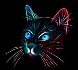 Fototapeta premium Gato de luz 