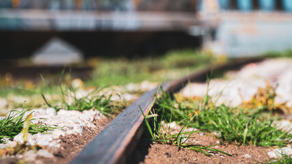 railway in the woods