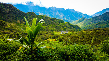 Tahiti beautiful green tropical mountains, rainforests, scenery, landscapes, Tahiti, French Polynesia, Pacific islands - obrazy, fototapety, plakaty