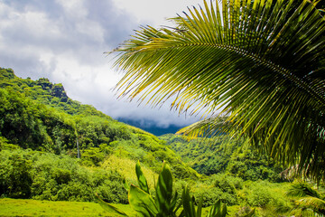 Fototapeta na wymiar Tahiti beautiful green tropical mountains, rainforests, scenery, landscapes, Tahiti, French Polynesia, Pacific islands