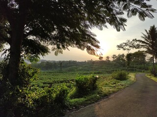 Rural atmosphere in the morning in a village in Indonesia