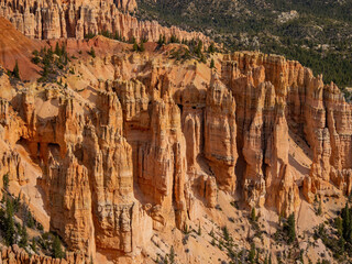 Beautiful sunny view of the Rainbow point of Bryce Canyon National Park