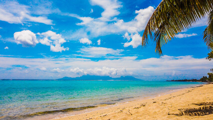 Fototapeta na wymiar Tahiti stunning beautiful beaches, white sand, clear turquoise water, blue lagoons, Tahiti, French Polynesia, Pacific islands