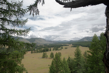 landscape with trees and clouds