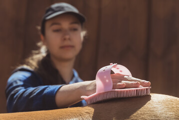 Female horse owner brushing off dust from her horseback. Light brown with a blonde mane being cleaned in the horse ranch. Girl holding a horse brush scrubbing the shiny horse coat.