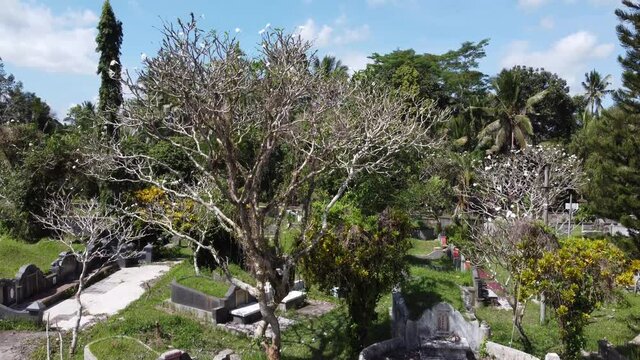 Bali, Indonesia - Drone Aerial Chinese Cemetery and Koncho Kongco Monastery The Oldest in Bali